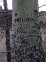 Lahmann (71)